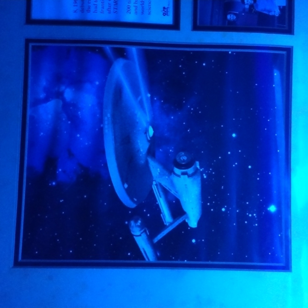 Star Trek commemorative photo